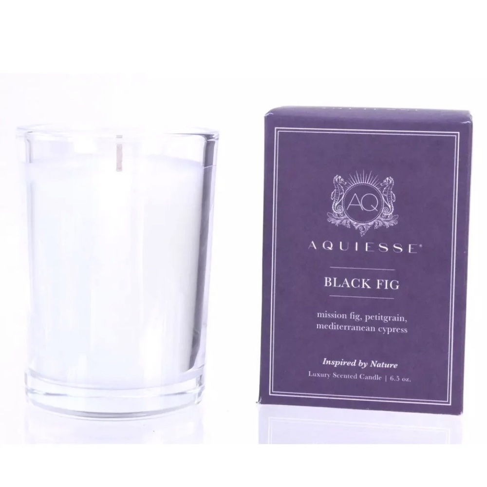 NWT Aquiesse Holiday Luxury Scented Candle Black Fig
